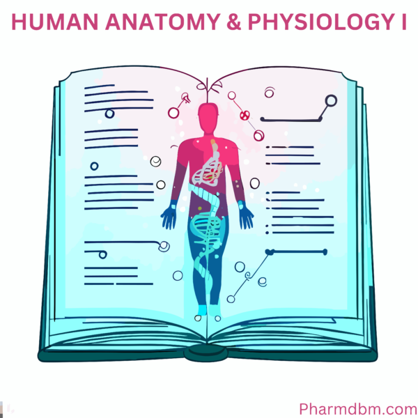 A notebook of human anatomy and physiology 1