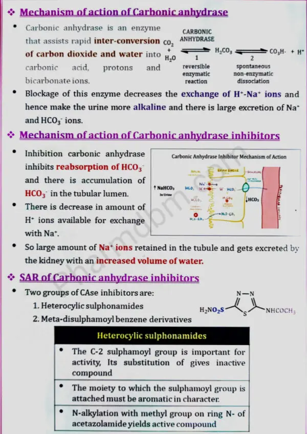 Carbonic Anhydrase