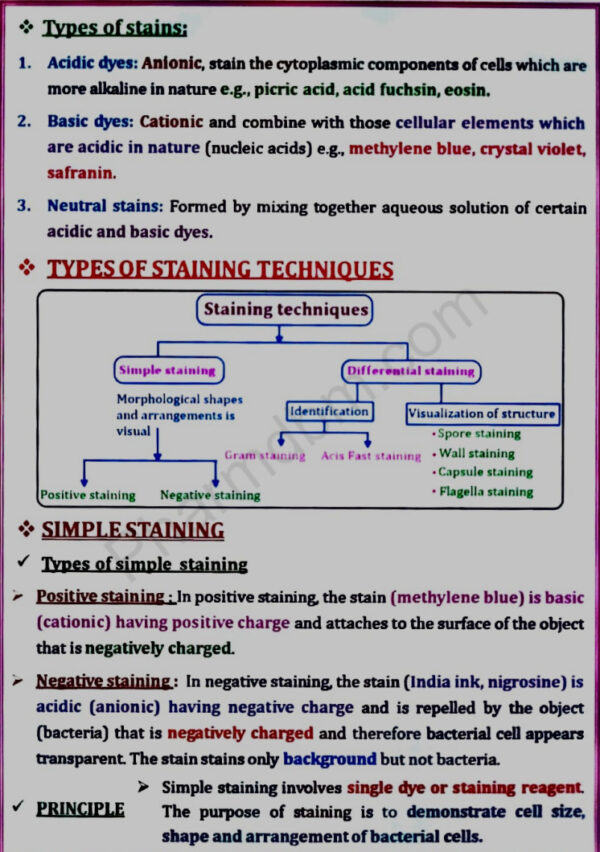 Types of staining