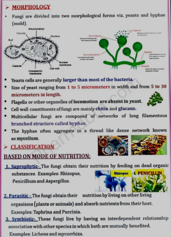 Saprophytic, parasitic and symbiotic