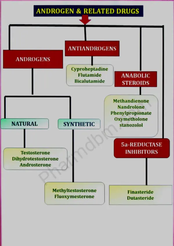 Androgens and Related drugs