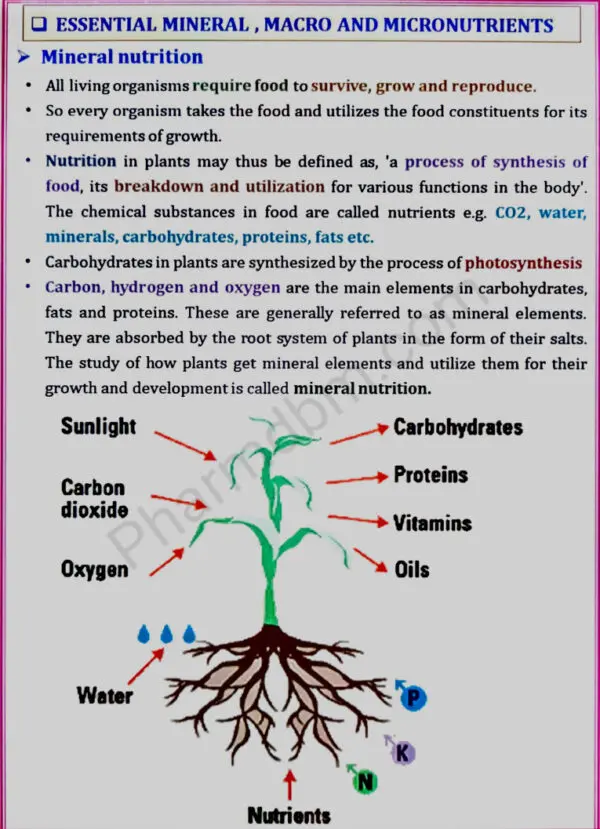 Essential Mineral , Macro and Micronutrients