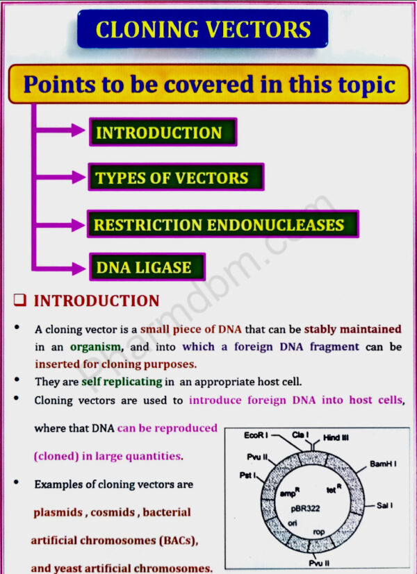 Cloning Vector - Biotechnology