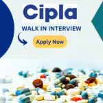 Bpharm job at cipla