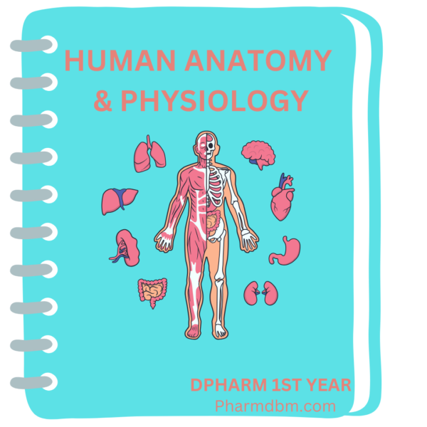 Human anatomy and physiology