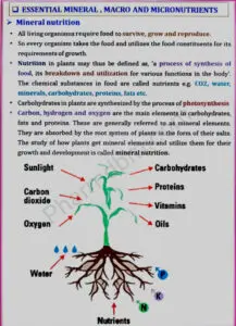 Remedial Biology - Unit 4 - Bpharm