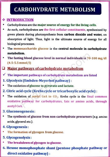Biochemistry : Unit 2 : Semester 2 : Bpharm