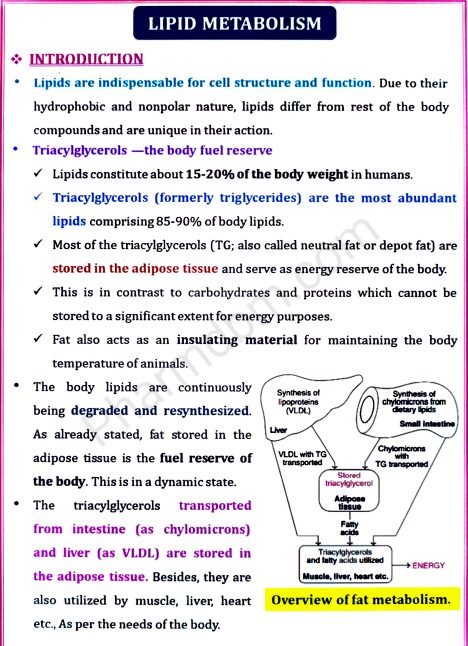 Biochemistry : Unit 3 : Semester 2 : Bpharm