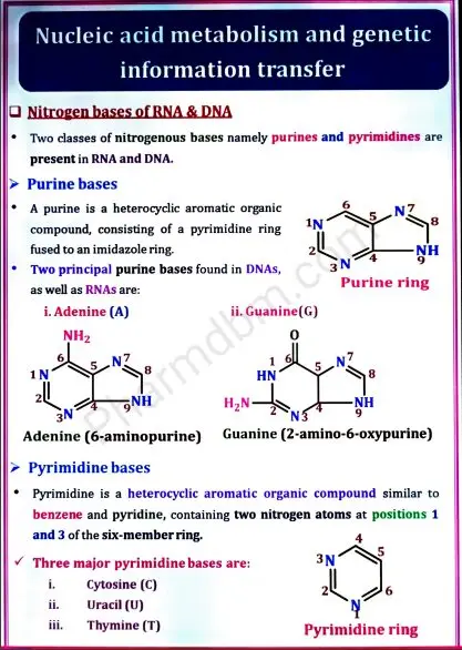 Biochemistry : Unit 4 : Semester 2 : Bpharm