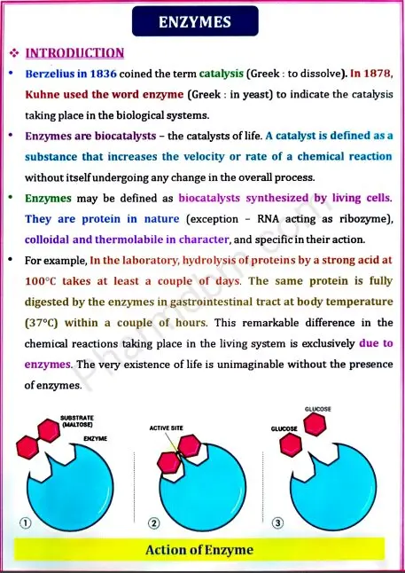 Biochemistry : Unit 5 : Semester 2 : Bpharm