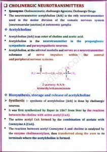 Medicinal Chemistry 1 : Unit 3 Notes : Semester 4 : Bpharm