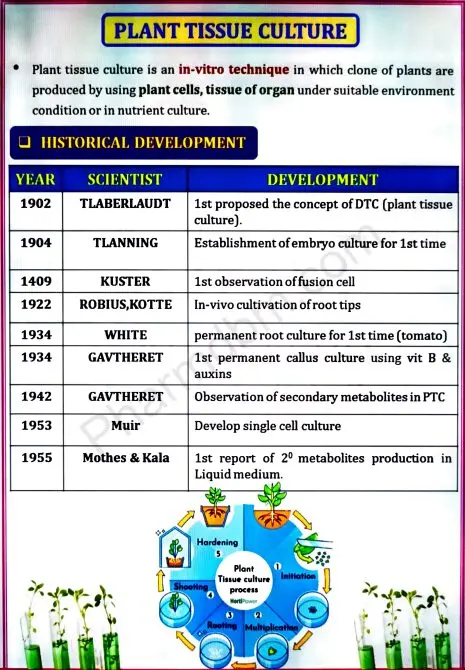 Pharmacognosy & Phytochemistry 1 : Unit 3 Notes : Semester 4