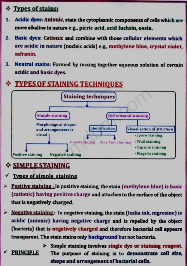 Pharmaceutical Microbiology : Unit 2 Notes : Bpharm