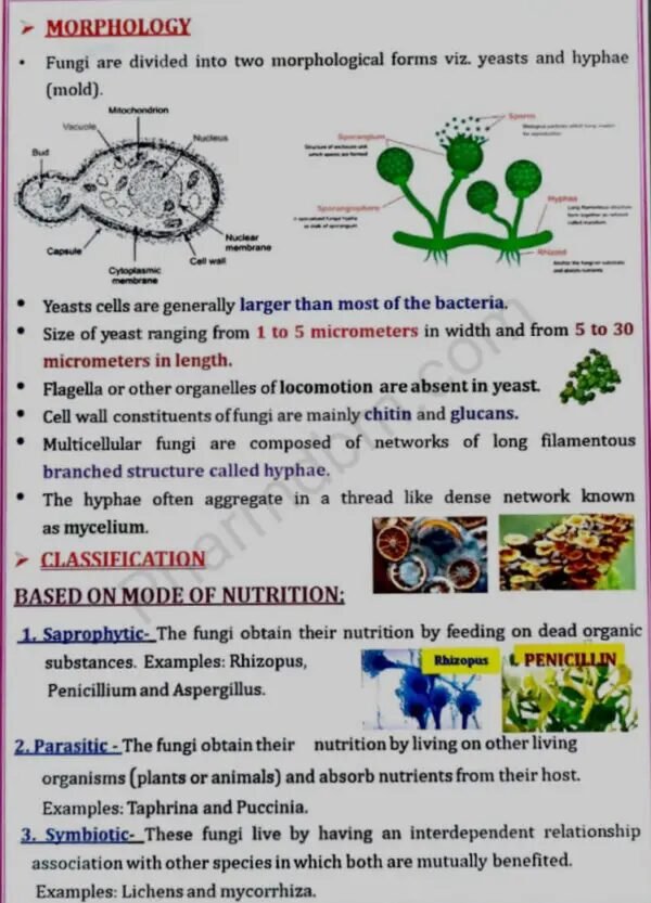 Pharmaceutical Microbiology : Unit 3 Notes : Bpharm