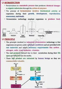 Pharmaceutical Biotechnology : Unit 5 Notes : Bpharm