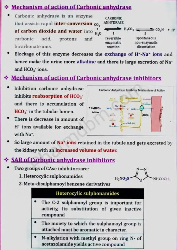 Medicinal Chemistry 2 : Unit 2 Notes : Semester 5 : Bpharm