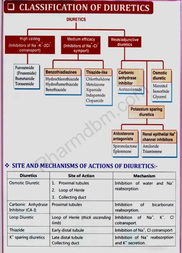 Pharmacology 2 : Unit 2 Notes : Semester 5 : Bpharm