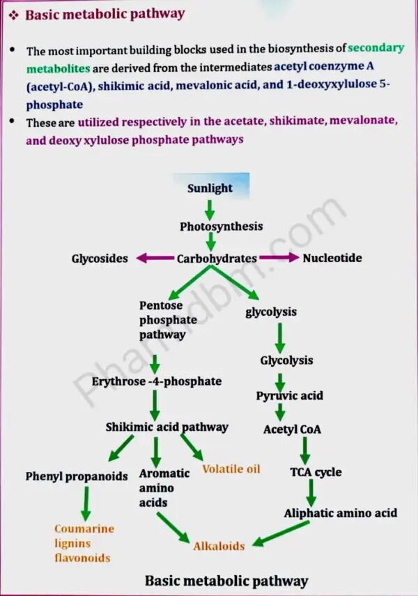 Pharmacognosy & Phytochemistry 2 : Unit 1 Notes : Semester 5