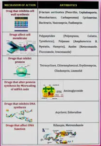 Medicinal Chemistry 3 : Unit 1 Notes : 6 Semester : Bpharm