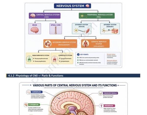 General Pharmacology – Chapter 4 : Dpharm 2nd year