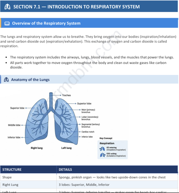 General Pharmacology – Chapter 7 : Dpharm 2nd year